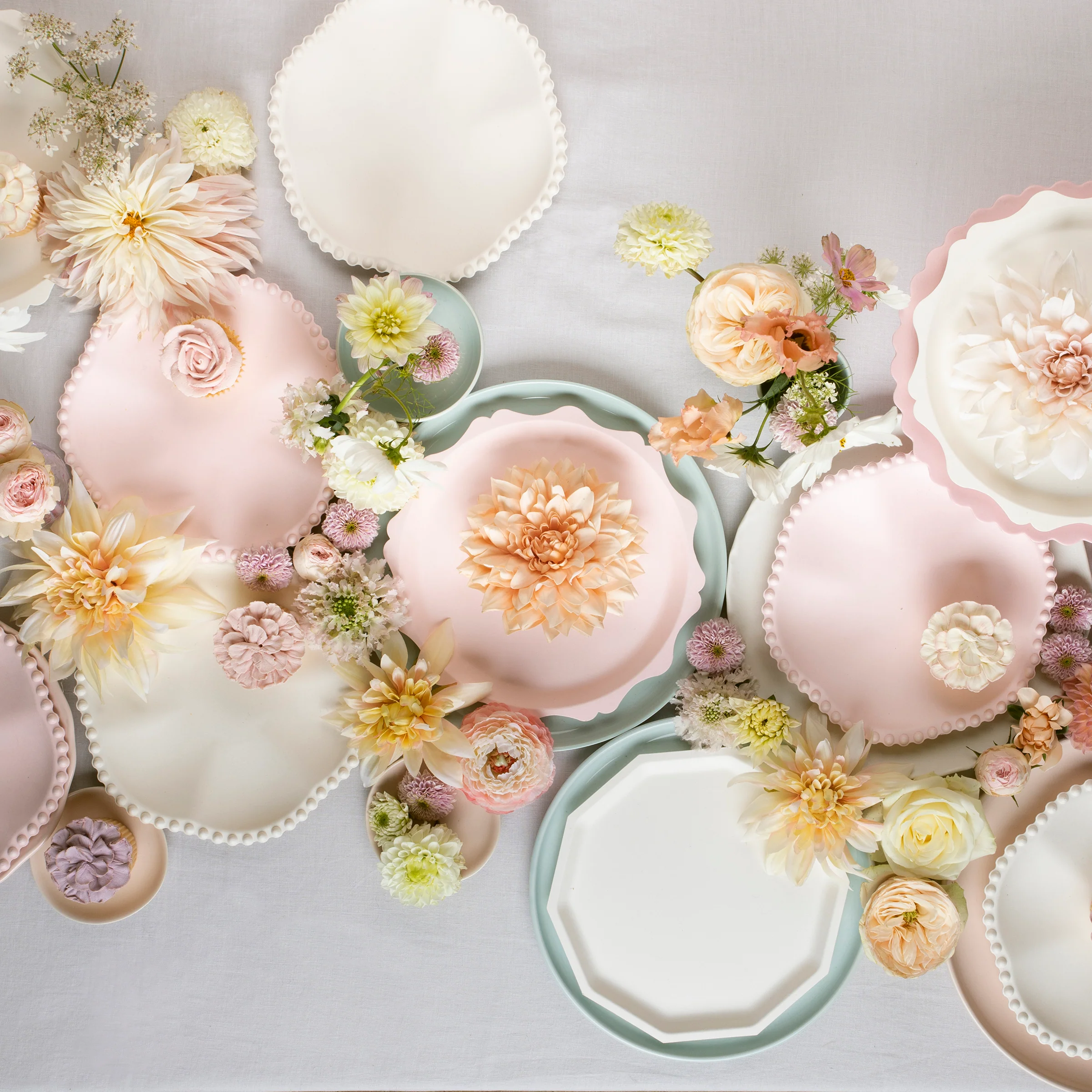 Blue Decorative Edge Compostable Dinner Plates (x 8) - Image 2
