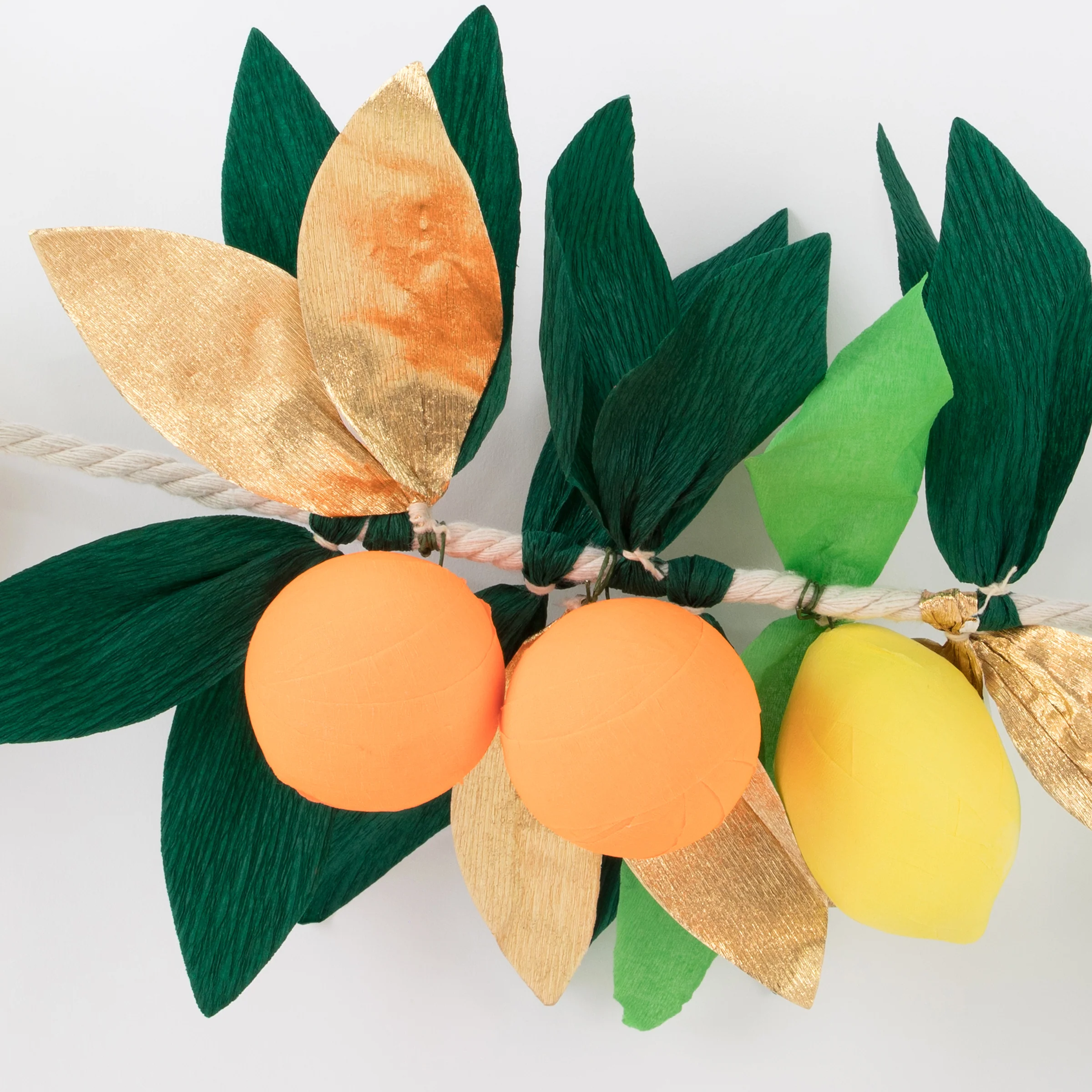 Citrus Fruit Garland - Image 3