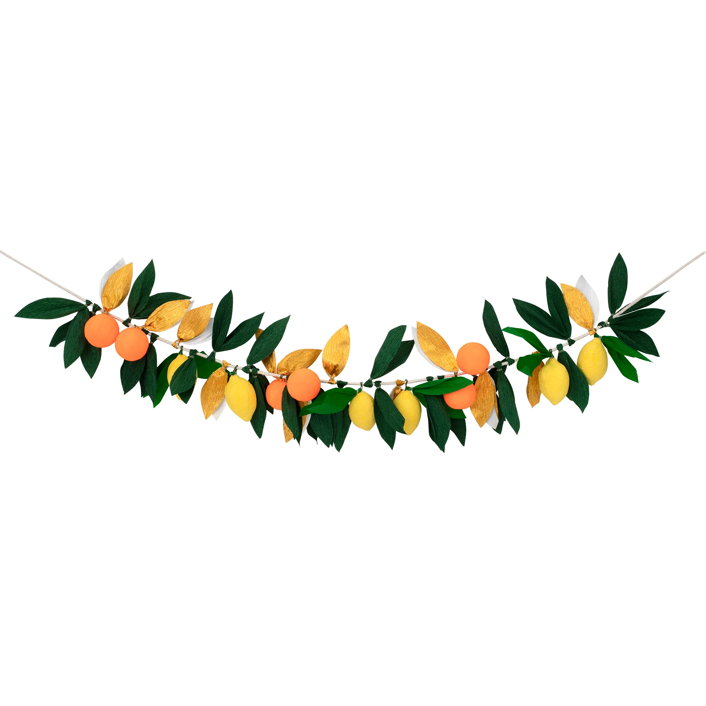 Citrus Fruit Garland - Image 4