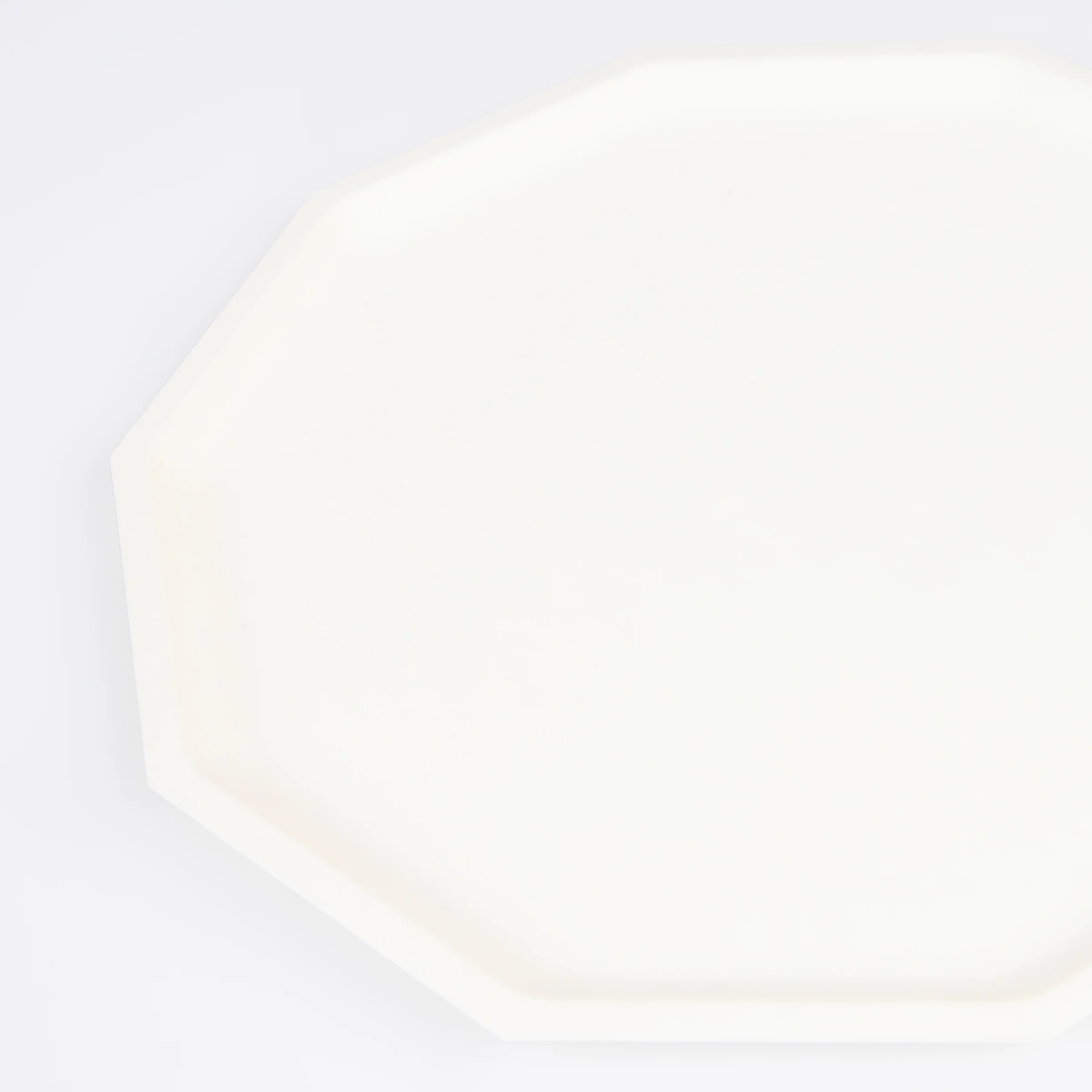 Cream Decagon Compostable Dinner Plates (x 8) - Image 3