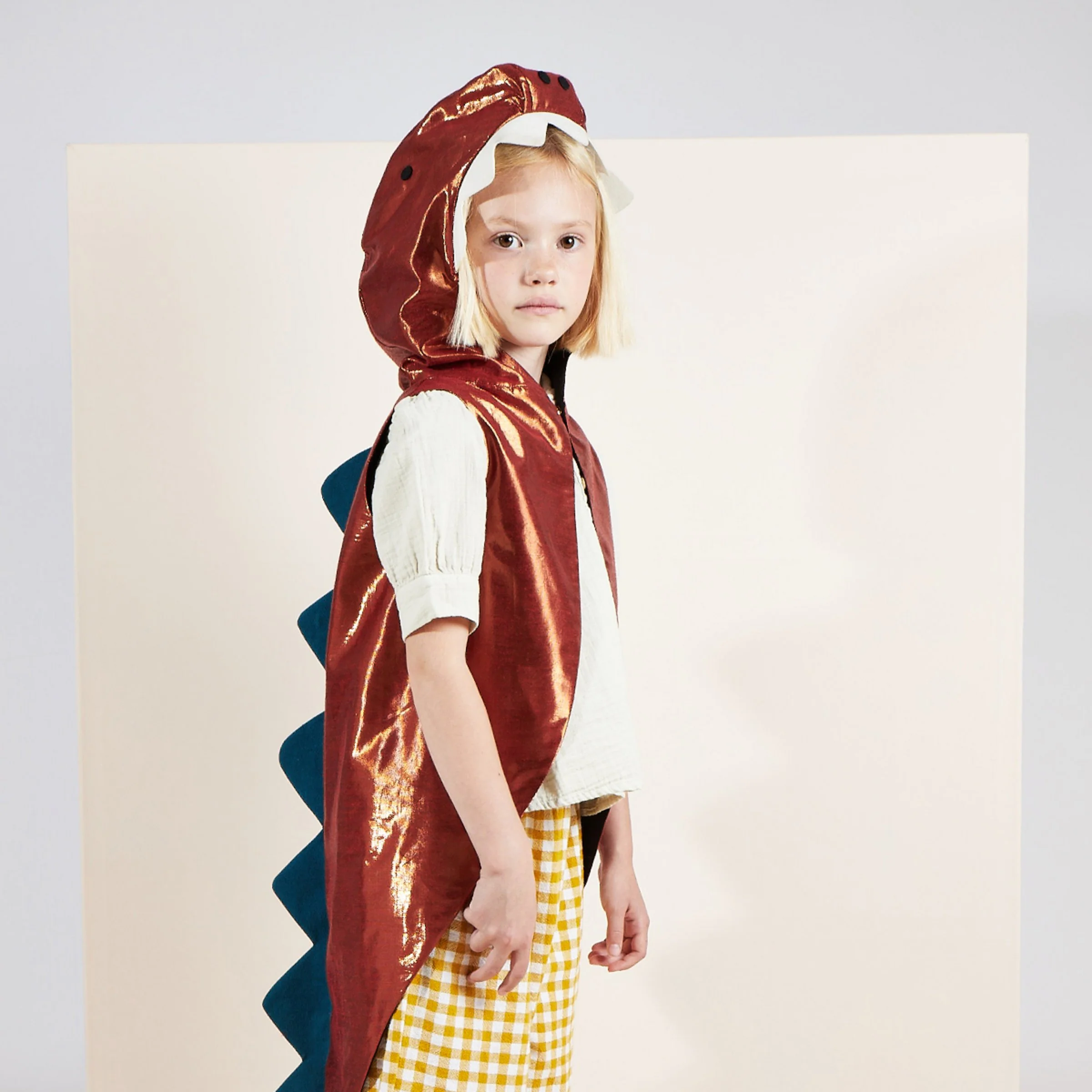 Dinosaur Costume - Image 4