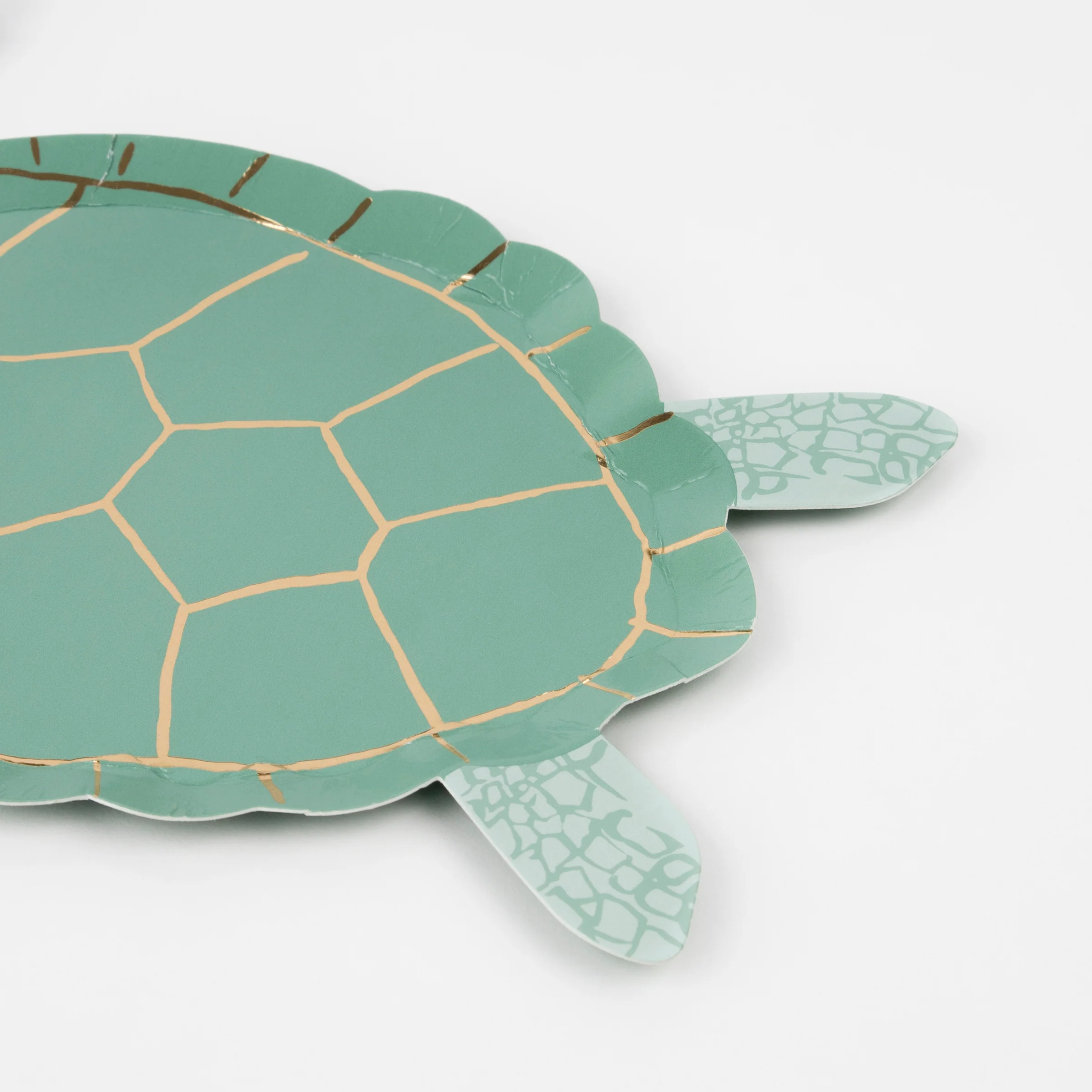 Turtle Plates (x 8) - Image 4