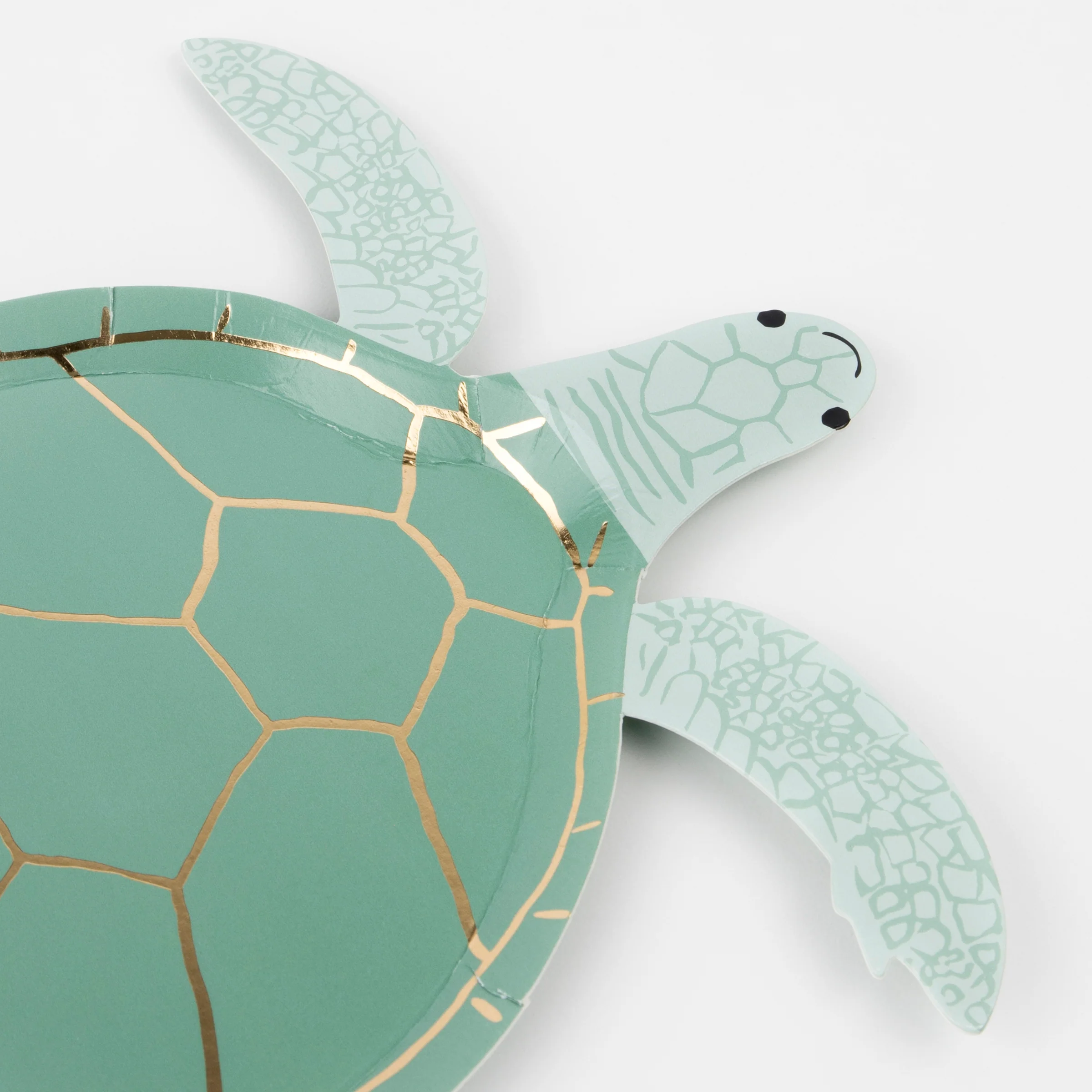 Under The Sea Turtle Set - Image 4