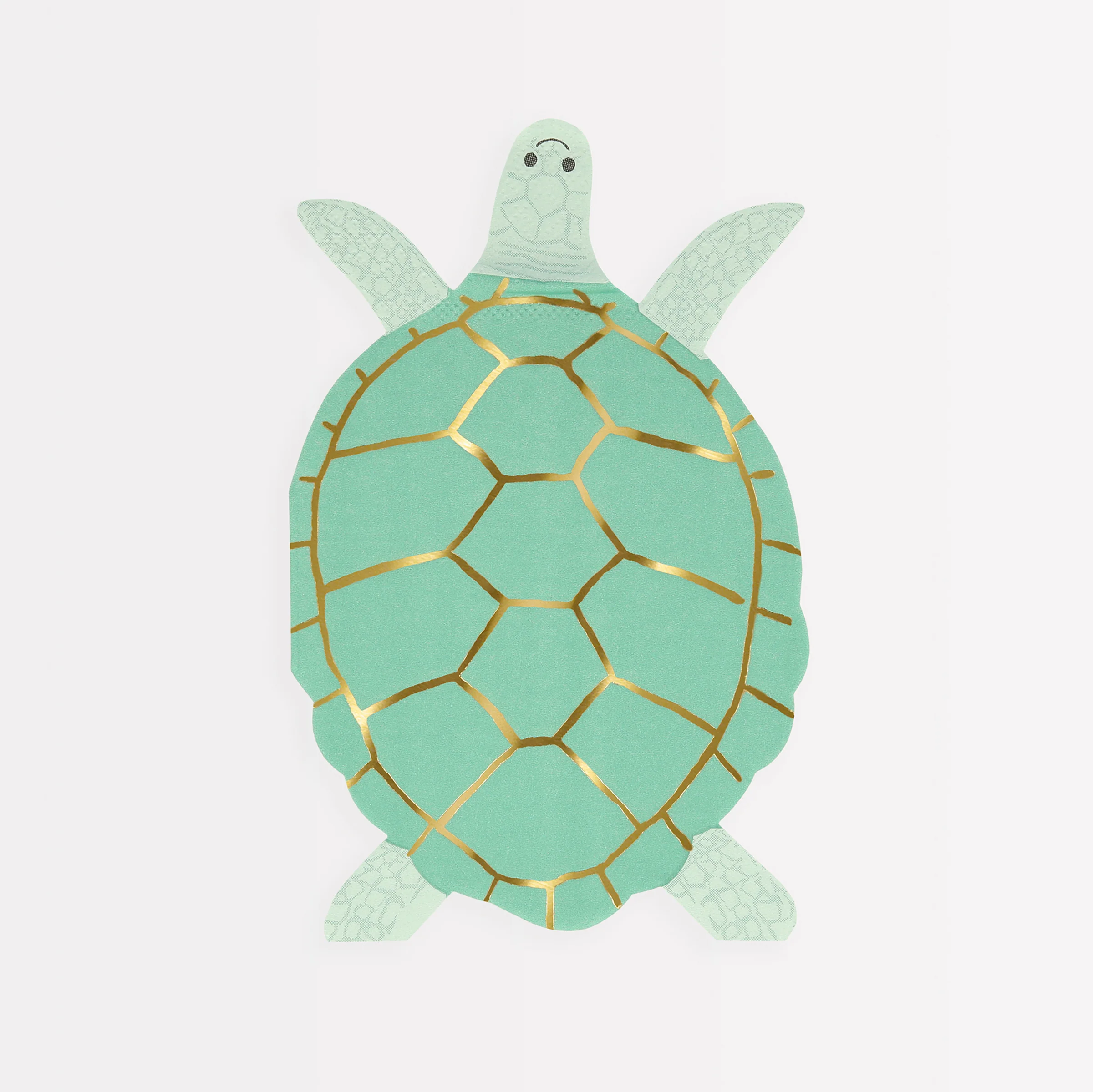 Under The Sea Turtle Set - Image 5
