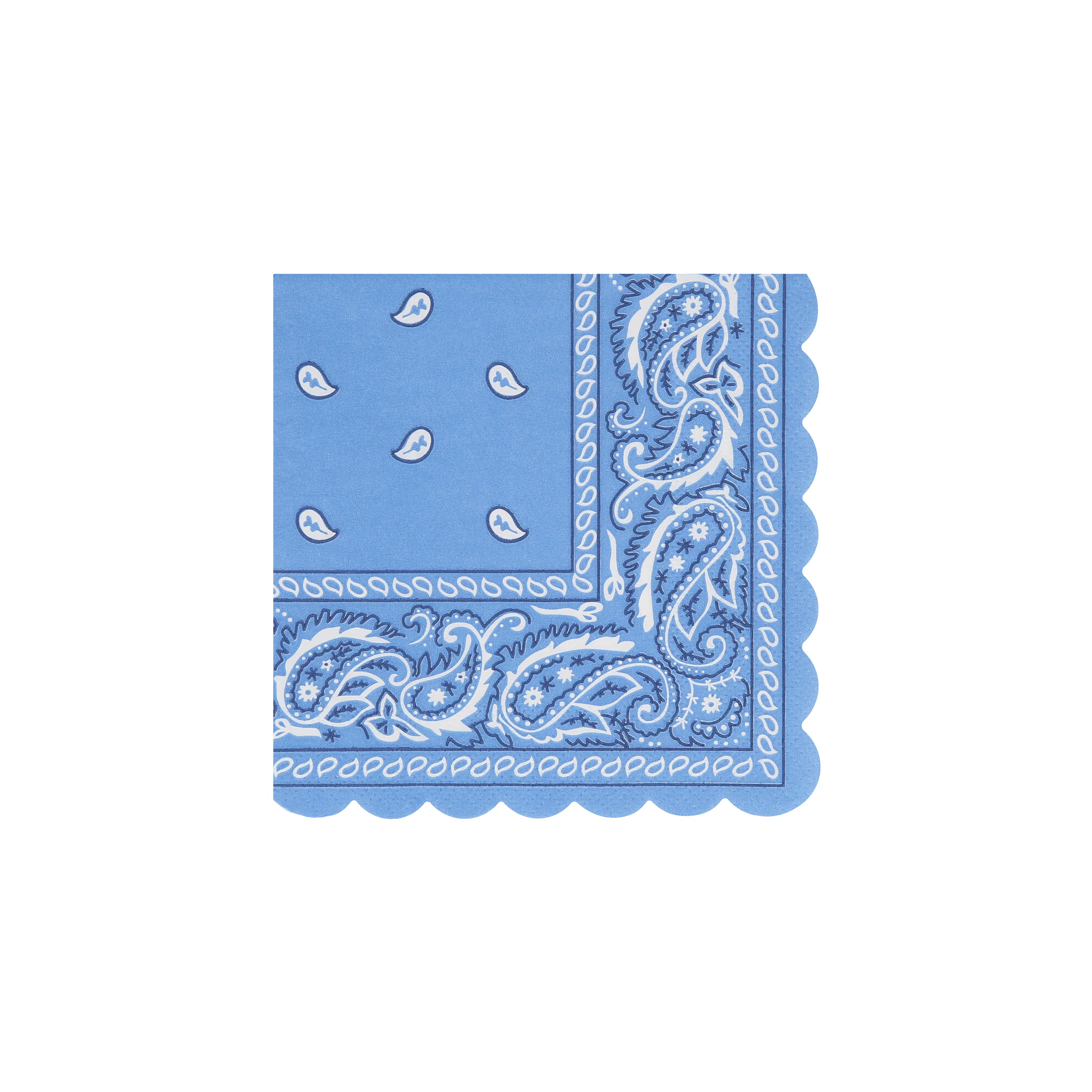Western Bandana Small Napkins (x 16) - Image 3