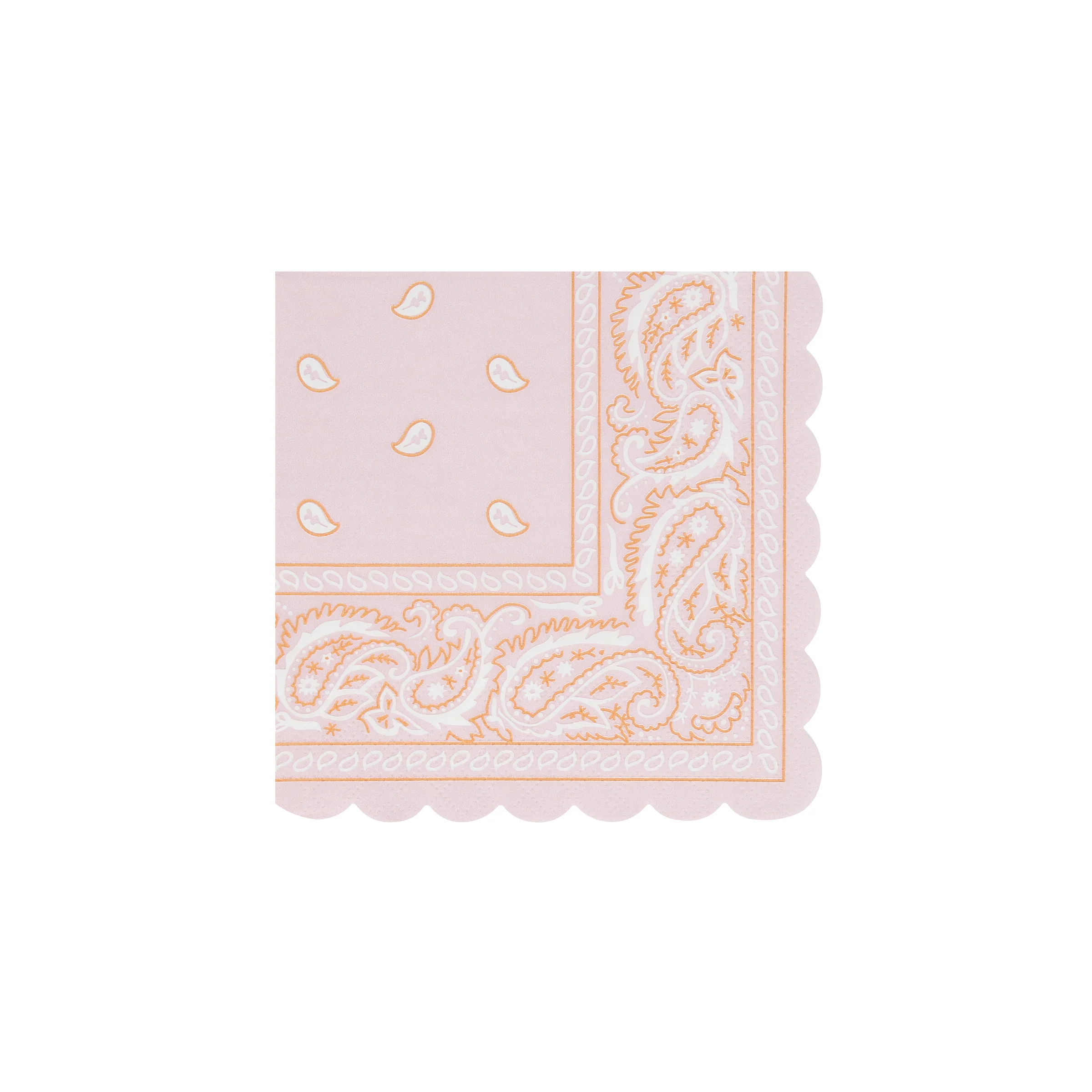 Western Bandana Small Napkins (x 16) - Image 5