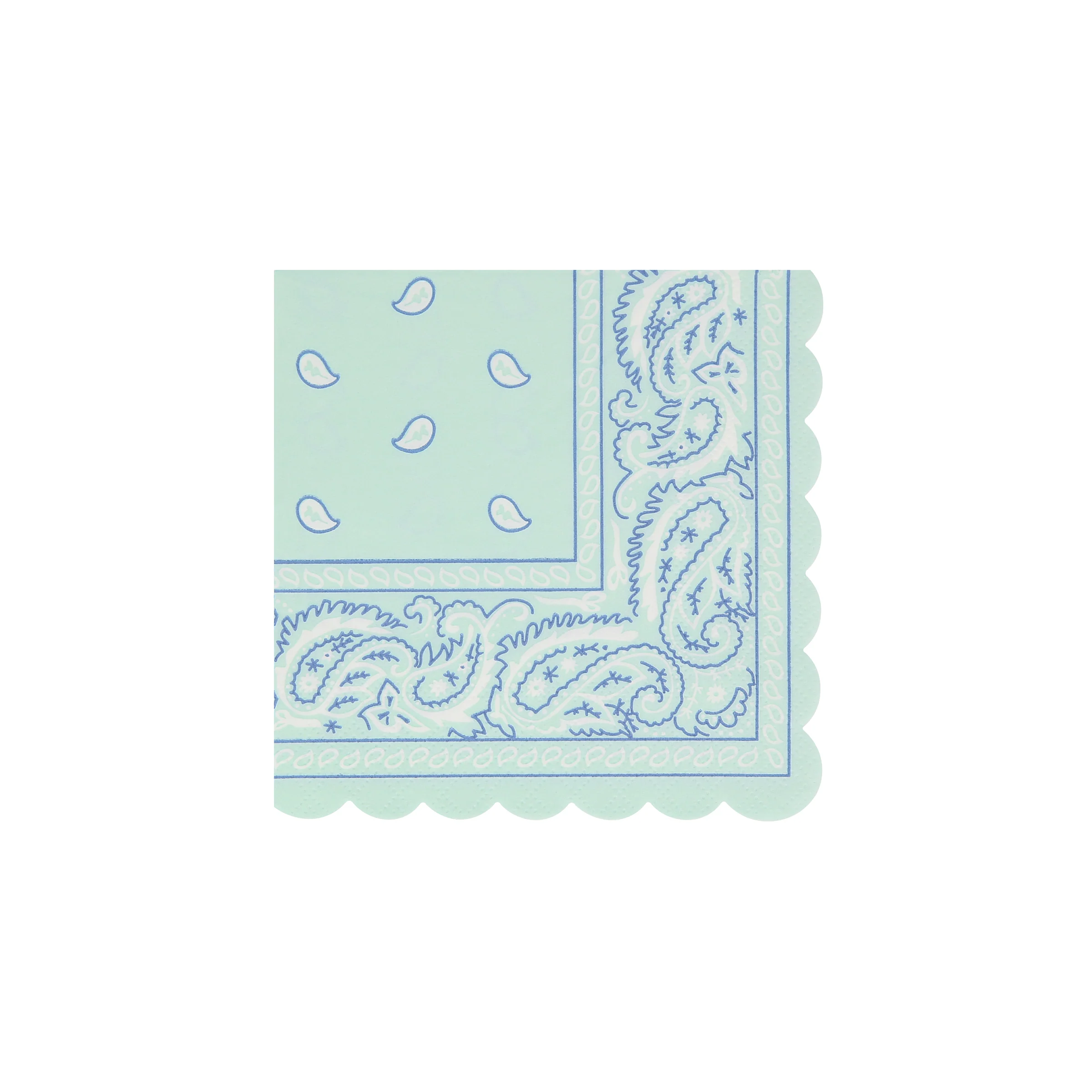 Western Bandana Small Napkins (x 16) - Image 6