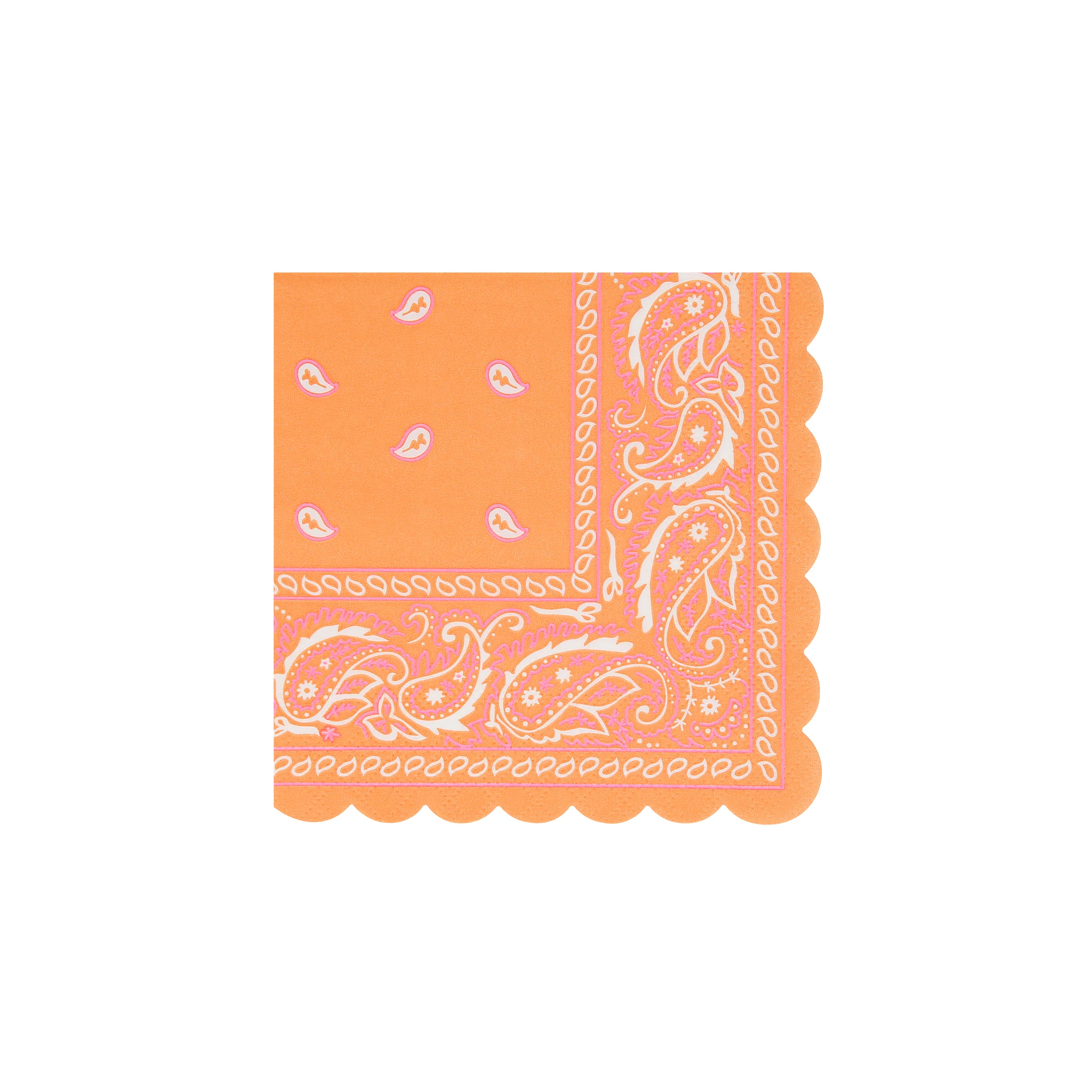 Western Bandana Small Napkins (x 16) - Image 7